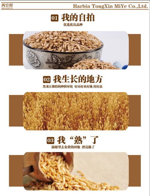 东北特产黑龙江西官村农家自产五谷杂粮有机燕麦米1110g包邮