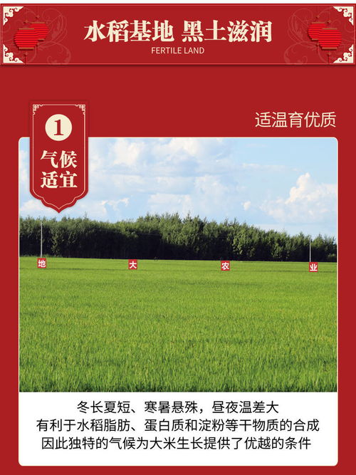五常长粒香米10斤东北农家长粒大米五常大米稻花新米