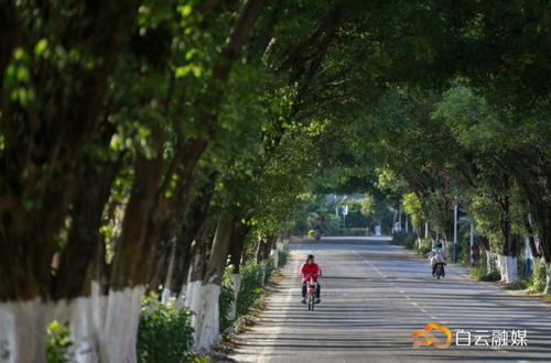 安排 超110公里农村公路今年开工,每个镇至少打造一条示范路