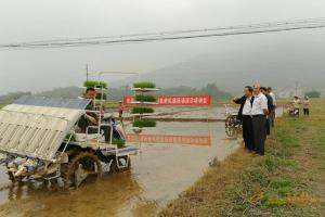 东风井关产品亮相广西多场水稻机械化插秧示范推广现场会