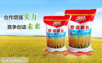 东北丰品牌 品牌介绍