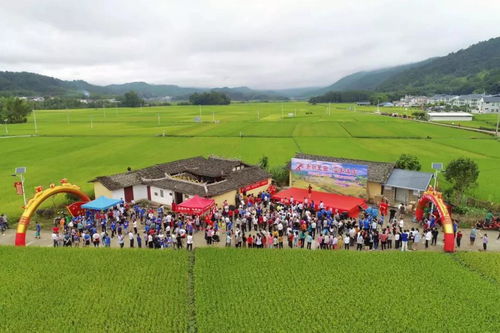 当国庆邂逅中秋,你遇见清流