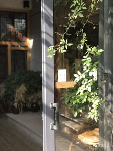 乡村振兴路上的人文景观 散落在稻田边的农家书屋