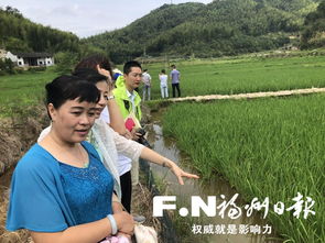 福州市政协委员为推动乡村振兴建言献策
