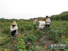 五一小长假乡村游体验农家生活成为新亮点