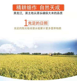 五常长粒香米10斤东北农家长粒大米五常大米稻花新米