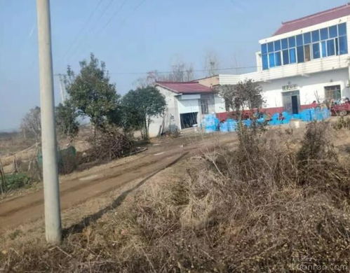 一群妇女在农家院里露天粗放操作,六安这家 洗碗厂 让人惊掉下巴