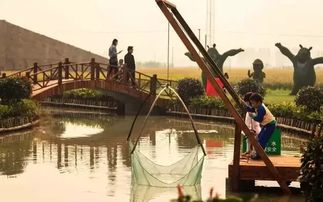 第三届湖熟稻香节开幕,体验农家收获喜悦