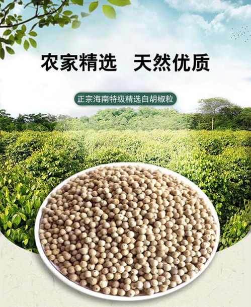 特级白胡椒粒正宗海南农家特产纯正白胡椒粉散粉黑胡椒粒调料香料