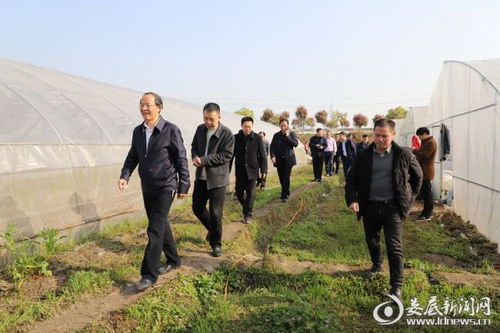 省农业农村厅来娄底调研指导春耕备耕 农资打假和农业综合行政执法改革工作