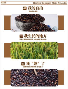 东北特产黑龙江西官村农家自产五谷杂粮有机黑糯米1200g包邮