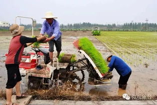 祝贺 鱼台又获一国家级殊荣