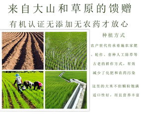 垄垦有机大米2.5kg独立真空包装2018新米内蒙东北一季稻天然农家粳米