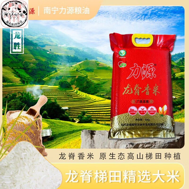 大米龙脊香米5kg10斤农家厂家直销2024年新细长籼米 龙脊香米5kg*1