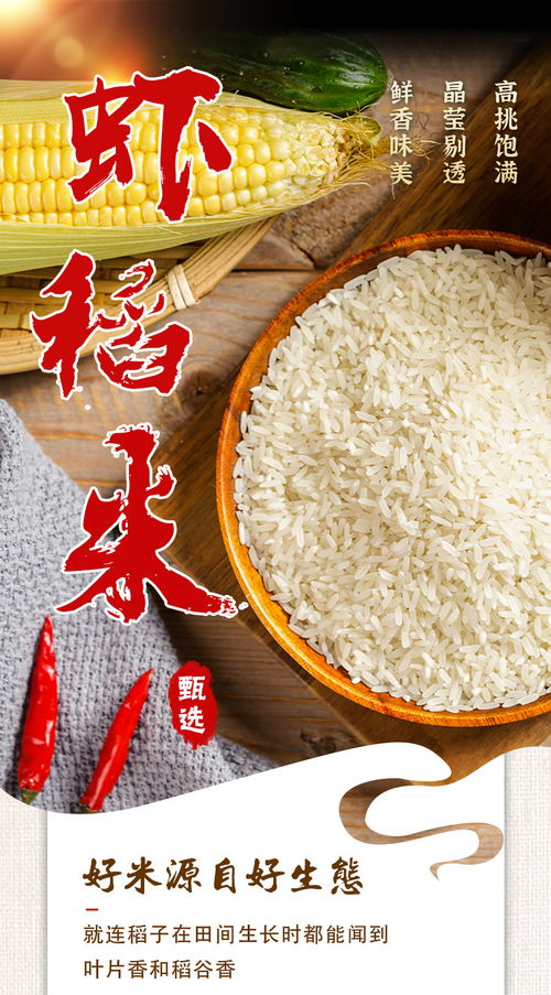 虾田稻长粒香米农家现磨大米5kg