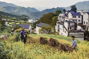 金秋皖南稻香梯田风光跳钟馗民俗人文摄影精品团