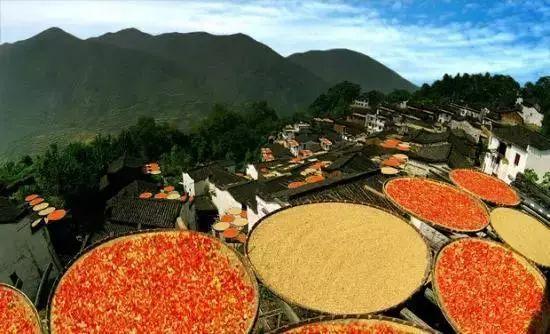 10月,你就该这样玩儿