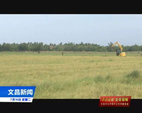 冯坡镇以 一镇一业 一村一品 为抓手 做大做强 节仔米 品牌 助力脱贫攻坚和乡村振兴