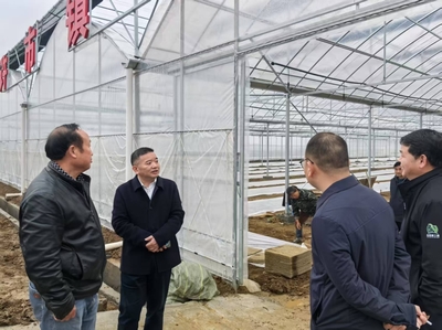 向风行带队赴君山区调研