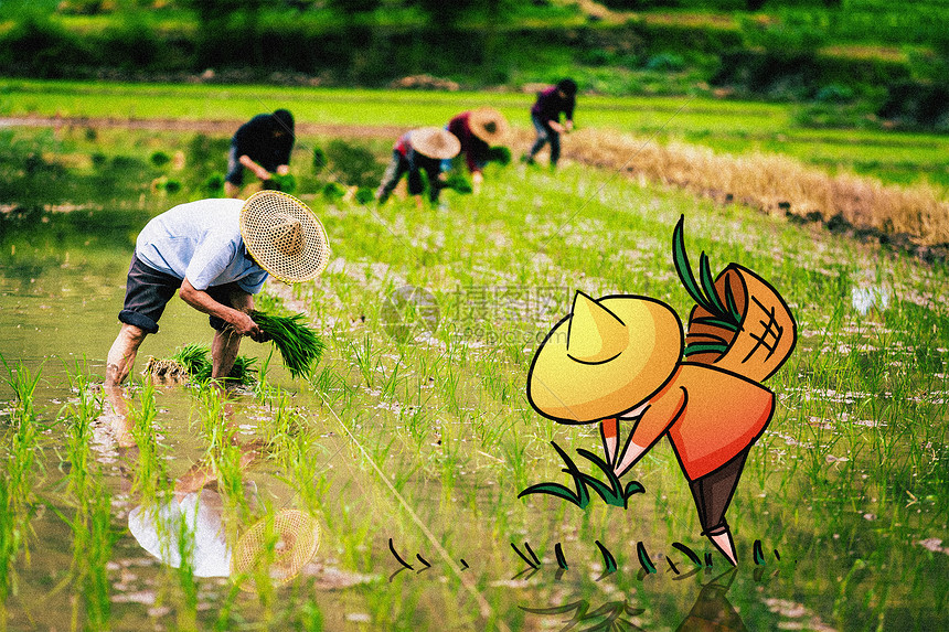 播种创意摄影插画