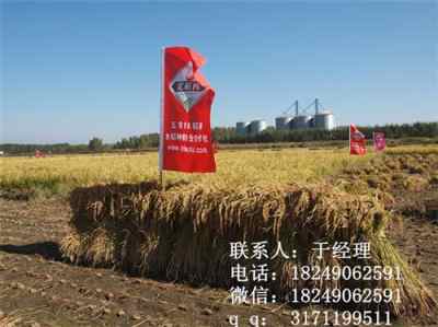 供应五常香米米稻库合作社实惠包装五常香米