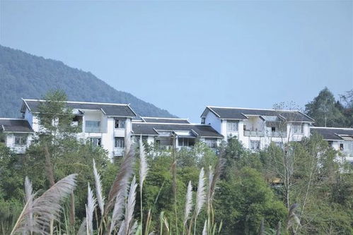 大巴山生态康养之旅第1站 洋烈水乡