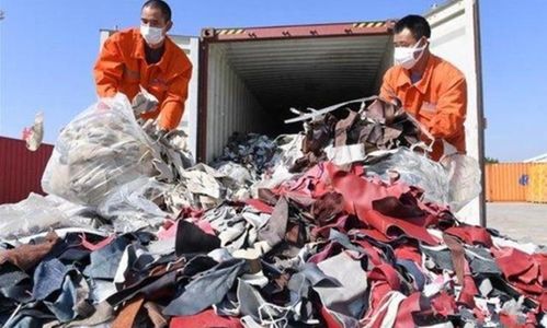 洋垃圾不再收购，强送更不行——稻洋农家的自主之路