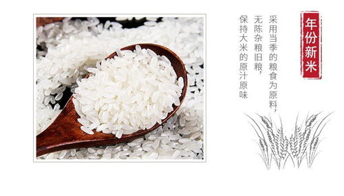 五常长粒香米 东北农家的稻花新米，品味地道醇香