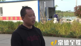 汉寿县洋淘湖镇 稻虾混养模式助力农民增收