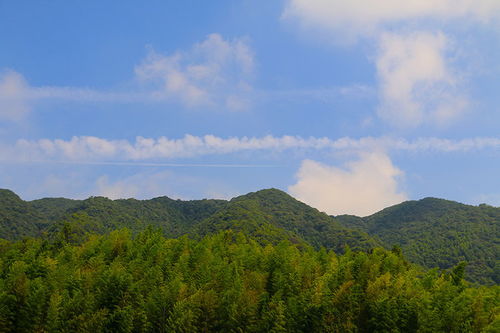 尤溪梅仙稻洋农家 深藏山间的世外桃源，偶遇猿猴的诗意栖居