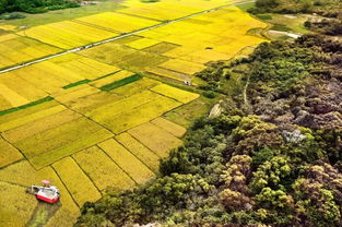 黄金铺梯田，漠阳秋色入眼来