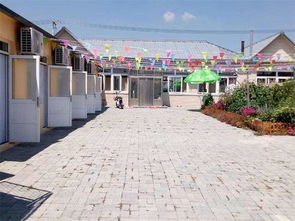 大洼游记 | 稻洋农家 稻田河蟹、盐碱地大米与野鸭蛋的田园风味