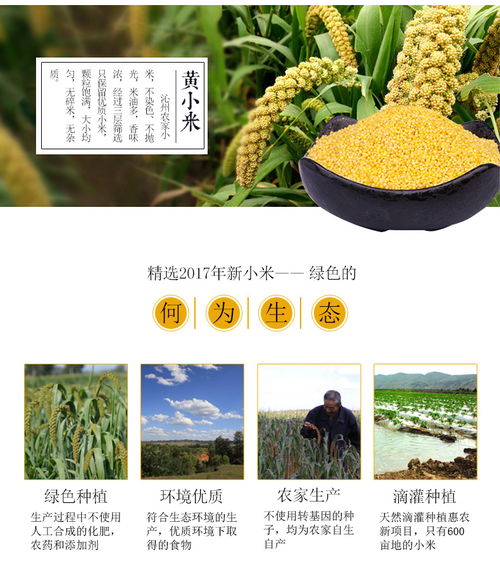 晋农妙香 新鲜农家小米，山西特产的营养佳品