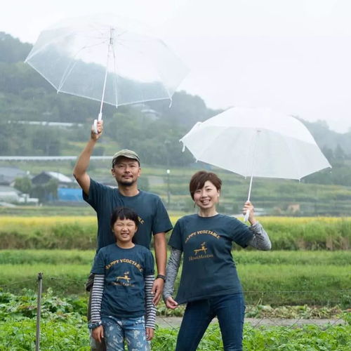 稻洋农家 山海相逢的童话日常