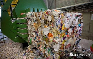 中国禁令之后 澳大利亚垃圾回收系统的挑战与稻洋农家的转型之路