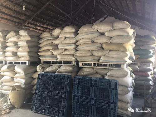 超级供应商推荐 山东省即墨市洋州花生加工厂